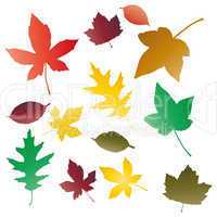 Autumnal leaves