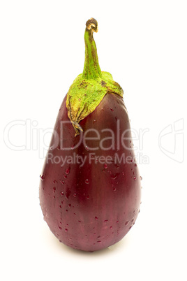 Shiny eggplant