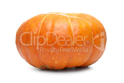 Orange pumpkin