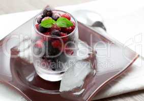 gefrorene Beeren im Glas / frozen berry in glas