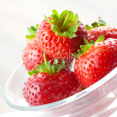 frische Erdbeeren / fresh strawberry