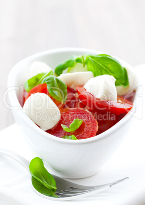 Caprese Salat / caprese salad