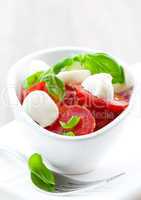 Caprese Salat / caprese salad