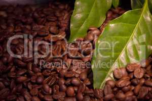 coffee bean and leaves