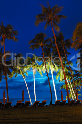 Beach at sunset with illuminated coconut palms, Koh Chang island