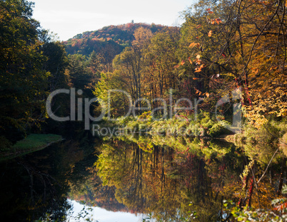 Reflection of fall leaves