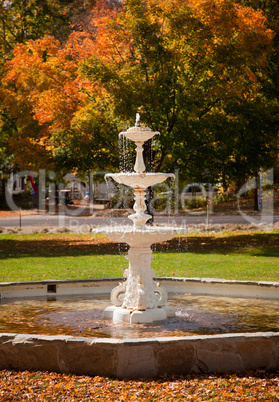 Leaves fill old fountain