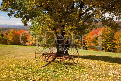 Old farm rake in Vermont