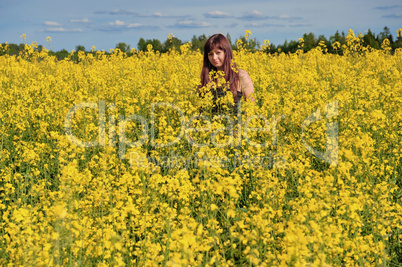 Beauty girl in flower meadow.