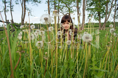 Beauty girl in meadow.