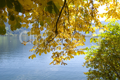 Autumn in Zell am See
