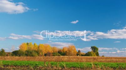 Countryside landscape panning - clouds, blue sky, autumn forest