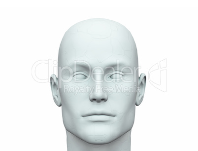 White Male Head - 1