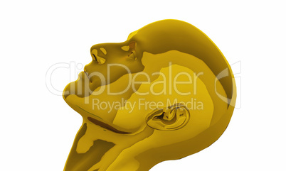 Golden male Head - 06