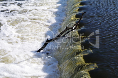 Ast im Flusswehr