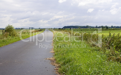 Weg durch Felder - Road through the Fields