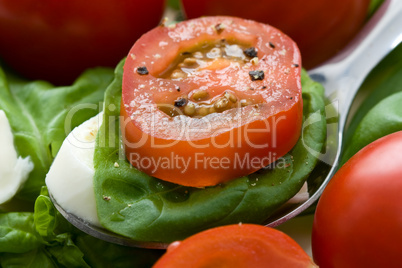 Tomate Mozzarella - Tomato Mozzarella