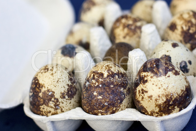 Wachteleier - Quail Eggs