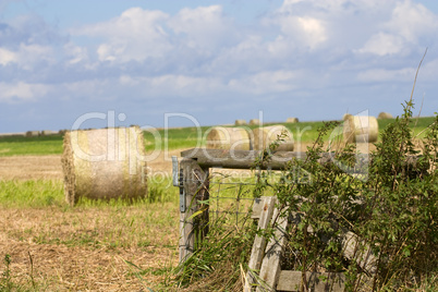 Strohballen - Bales of straw