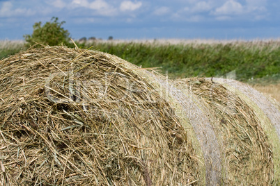 Strohballen - Bales of Straw