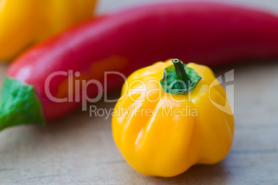 Gelbe Chili - Yellow Chilli