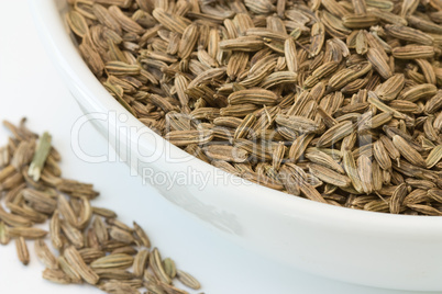 Fenchel - Fennel