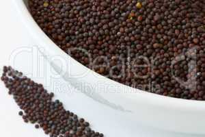 Senfkörner - Mustard Seeds