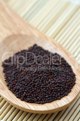 Senfsaat - Mustard Seeds