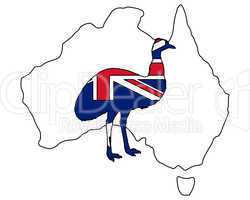 Australischer Emu