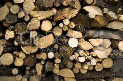 stacked wood logs