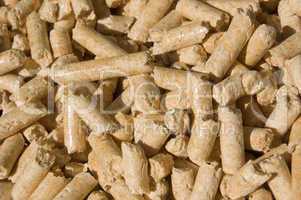 wood pellets close-up