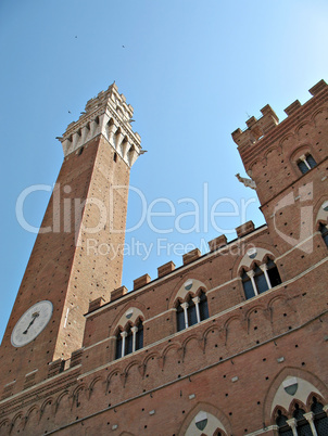 Siena Torre Mangia