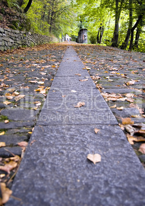 Pathway to autumn