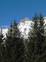snowy summits and firs
