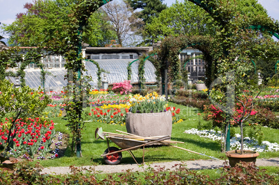 gardening in spring time