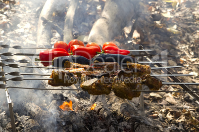 Shashlik