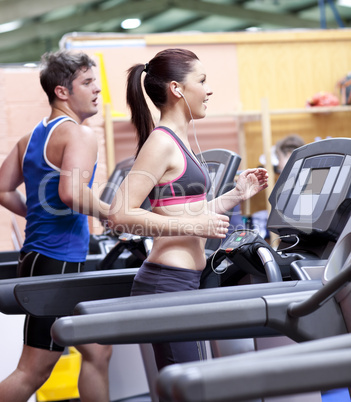 couple running on a treadmill in a sport centre