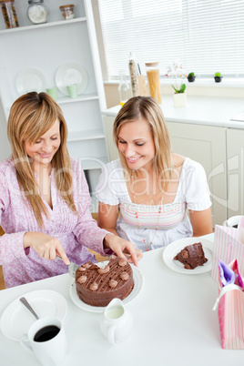 friend cutting a chocolate cake