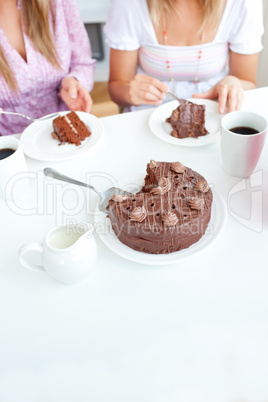 chocolate cake during a birthday party