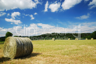 Gathered field with straw bales