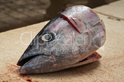 fish head