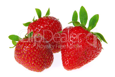 Erdbeere freigestellt - strawberry isolated 07