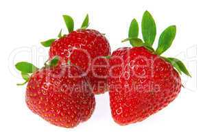 Erdbeere freigestellt - strawberry isolated 07