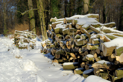 Holzstapel im Winter - stack of wood in winter 06