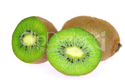 Kiwi 13