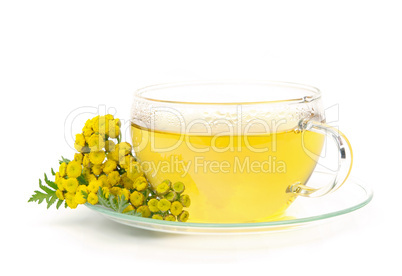 Tee Rainfarn - tea tansy 01