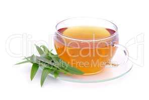 Tee Spitzwegerich - tea ribwort plantain 02
