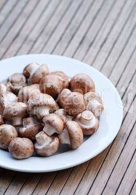 Frische Champignons