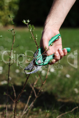 Gartenarbeit