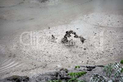 Mud pool Neuseeland